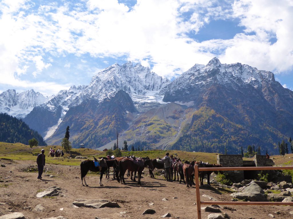 Thajiwas Gletsjer Sonamarg