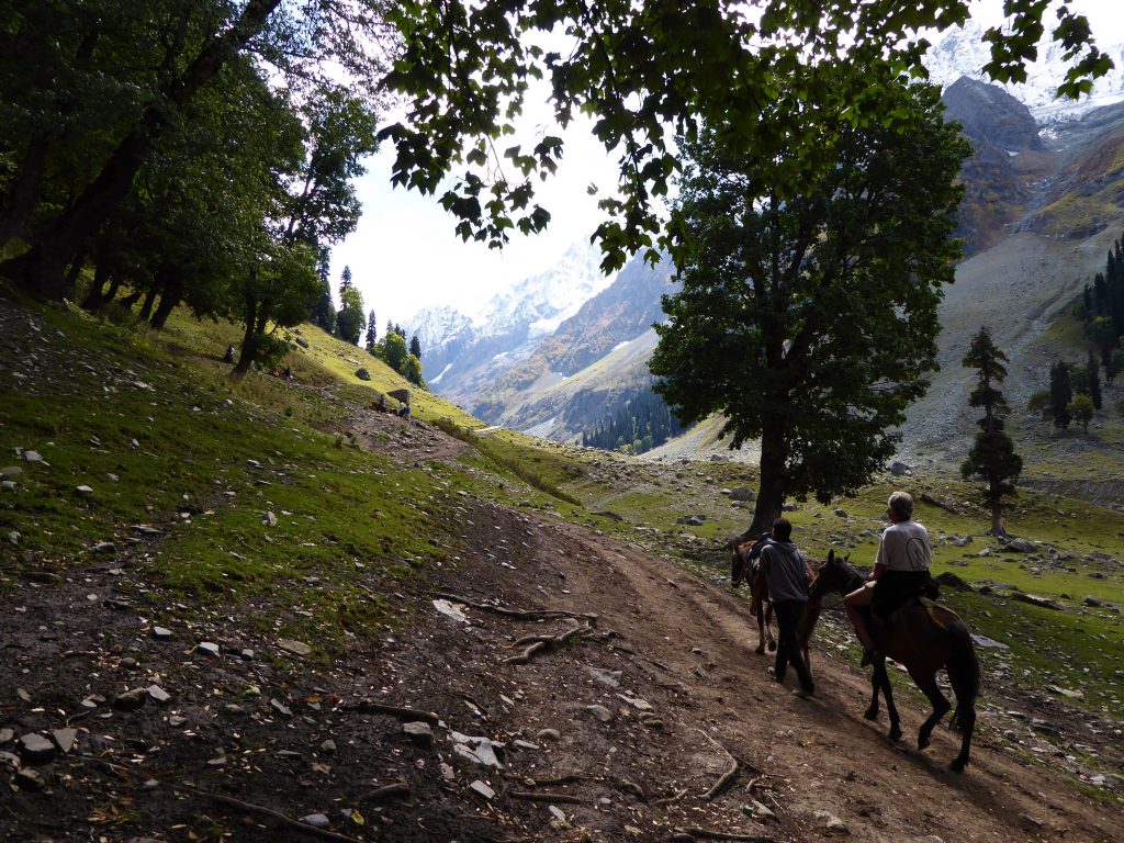 Climbing the Thajiwas Glacier - Kashmir, India