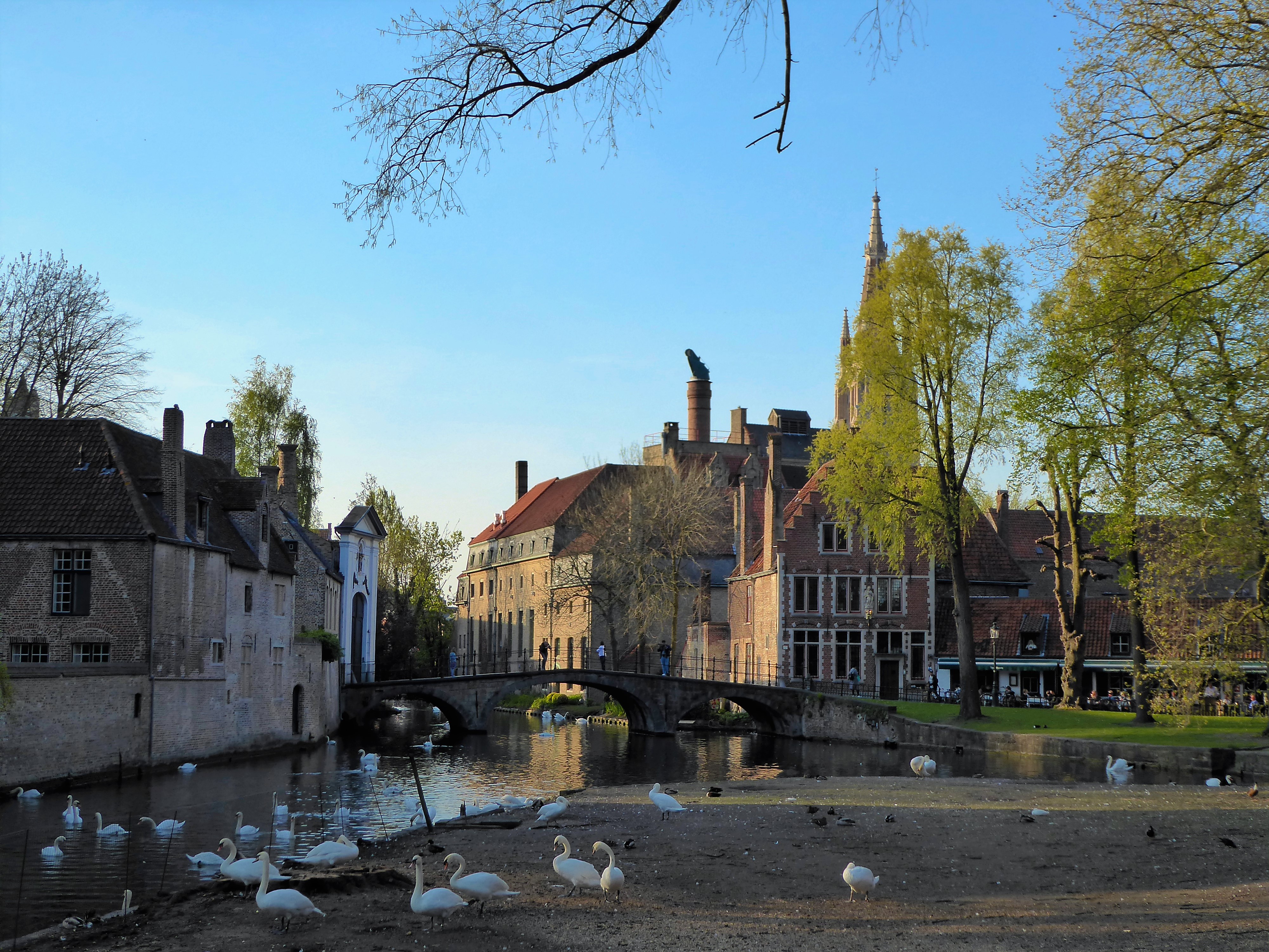 Enchanting Bruges, Belgium