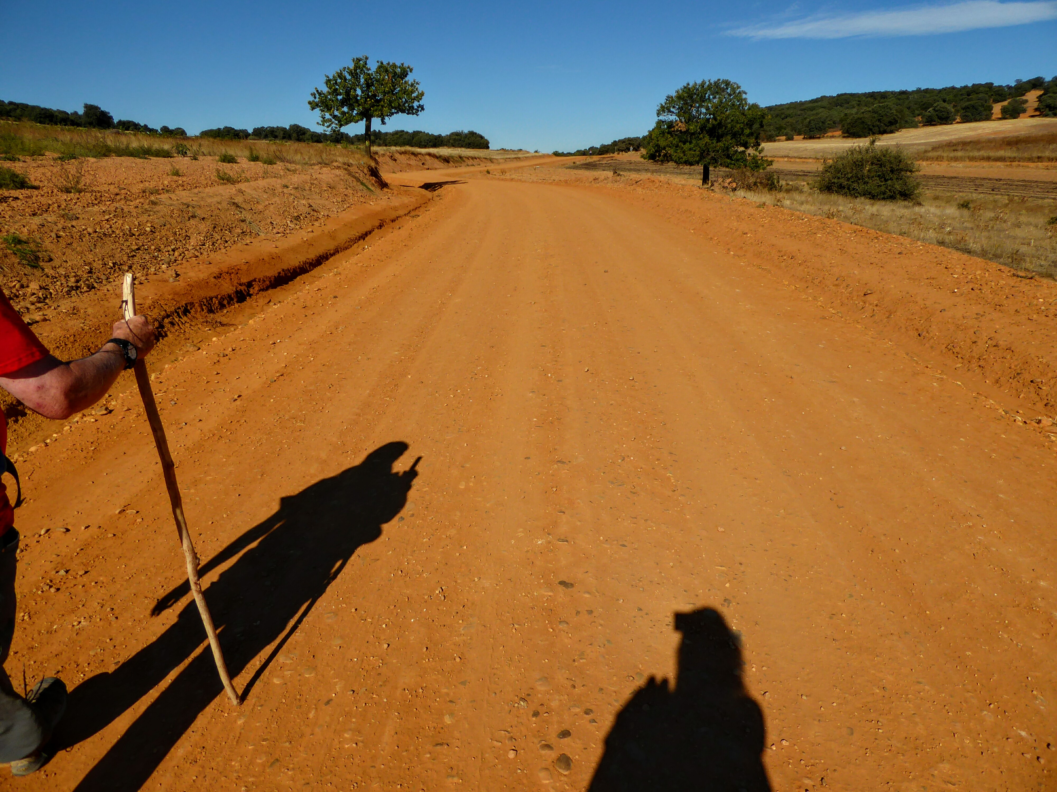 Camino Frances