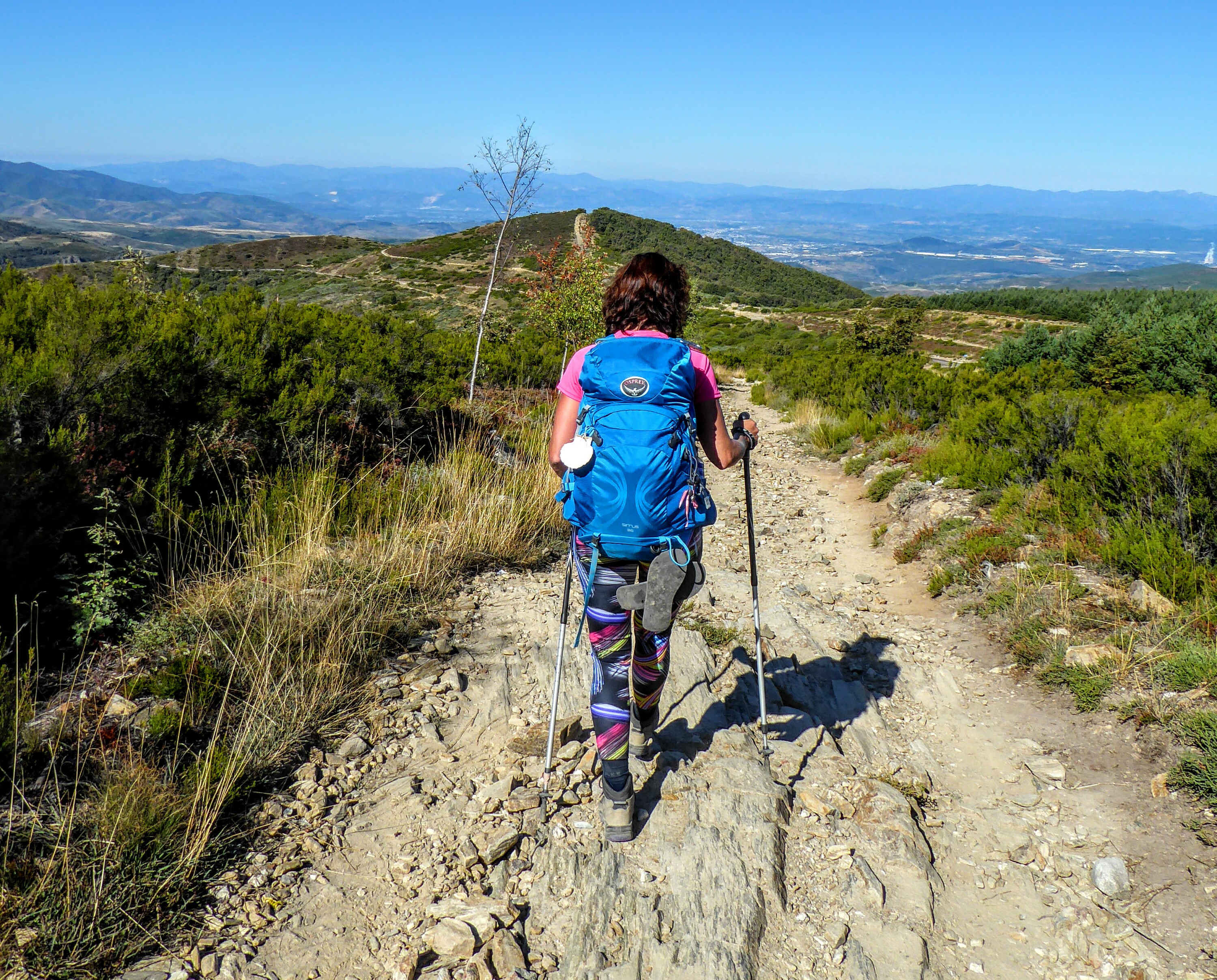 Camino Frances