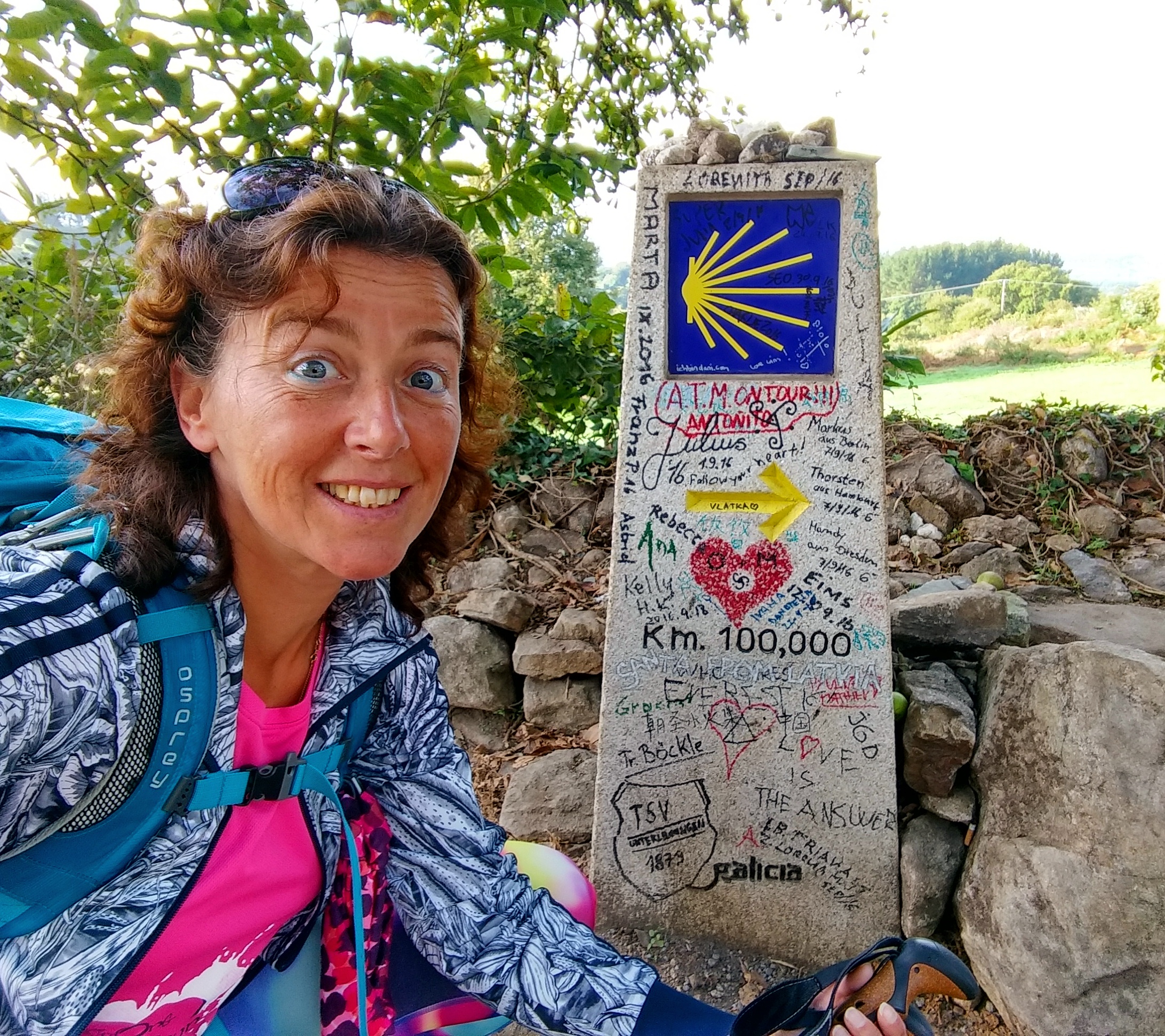 Bijna in Santiago - Camino Frances