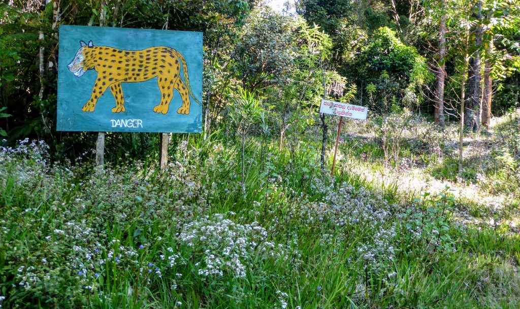 10 dagen op het schone en groene Sri Lanka