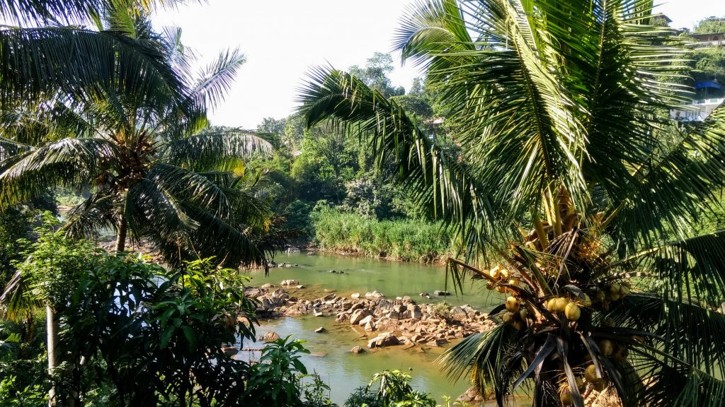 10 dagen op het schone en groene Sri Lanka