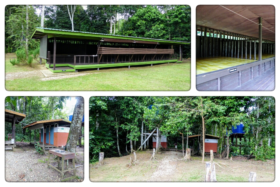 Tanjung Bulat Jungle Camp - Borneo