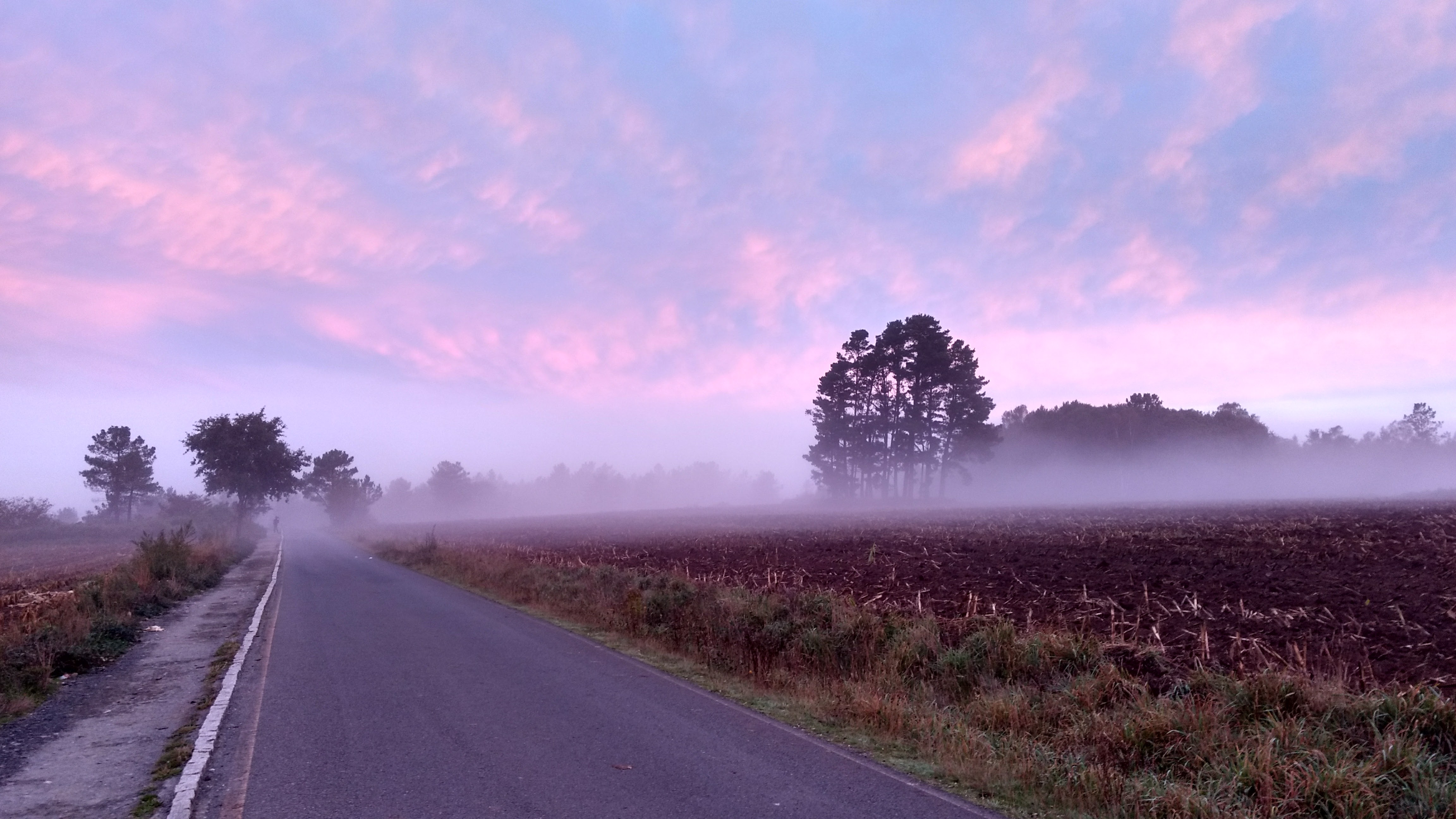 Mist op de Camino in Galicie