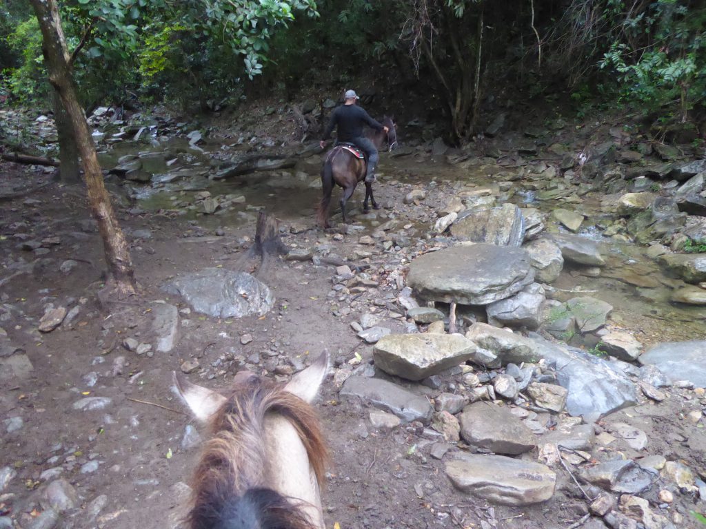 Horseback riding in Topes de Collantes