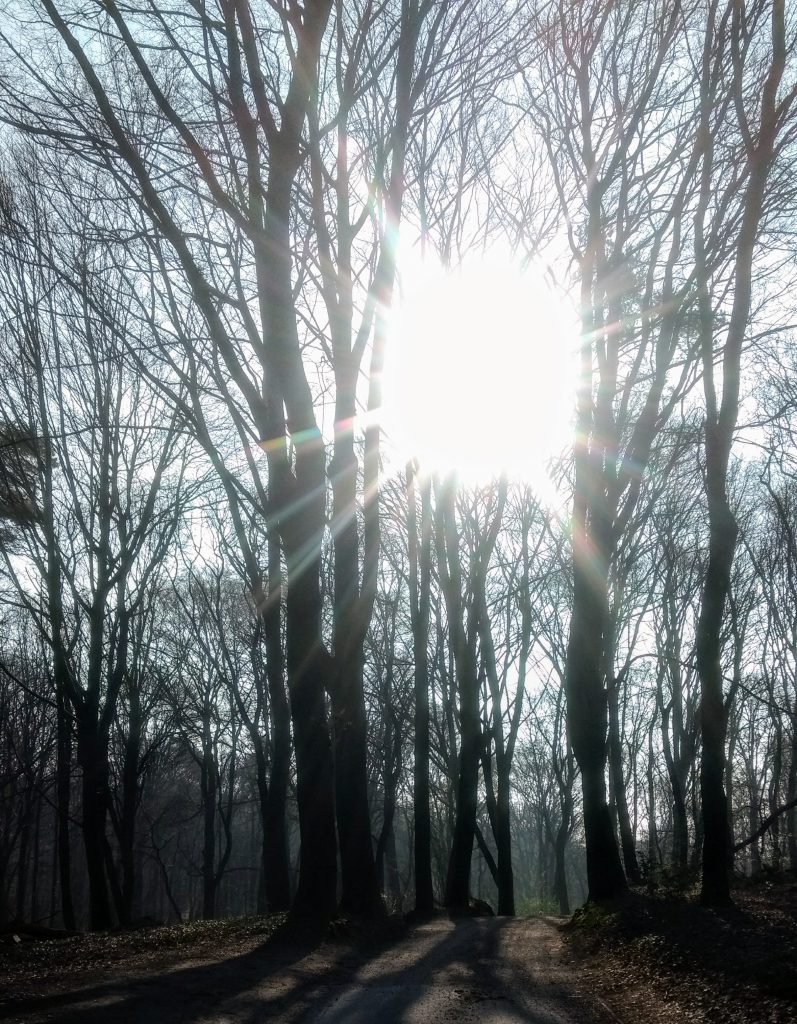 N70 Wandelroute Rijk Van Nijmegen 15km Zinvol Reizen