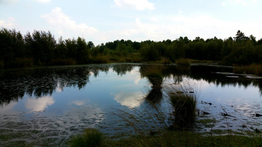 Engbertsdijksvenen - Overijssel