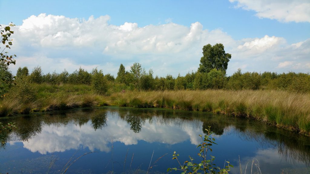 3 Short Hikes @ Engbertsdijksvenen - The Netherlands