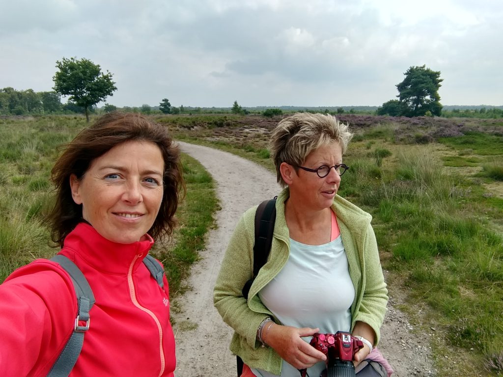 3 Short Hikes @ Engbertsdijksvenen - The Netherlands