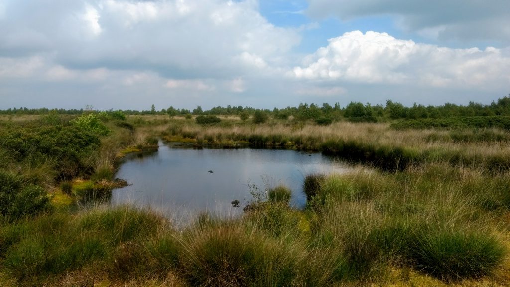 3 Short Hikes @ Engbertsdijksvenen - The Netherlands