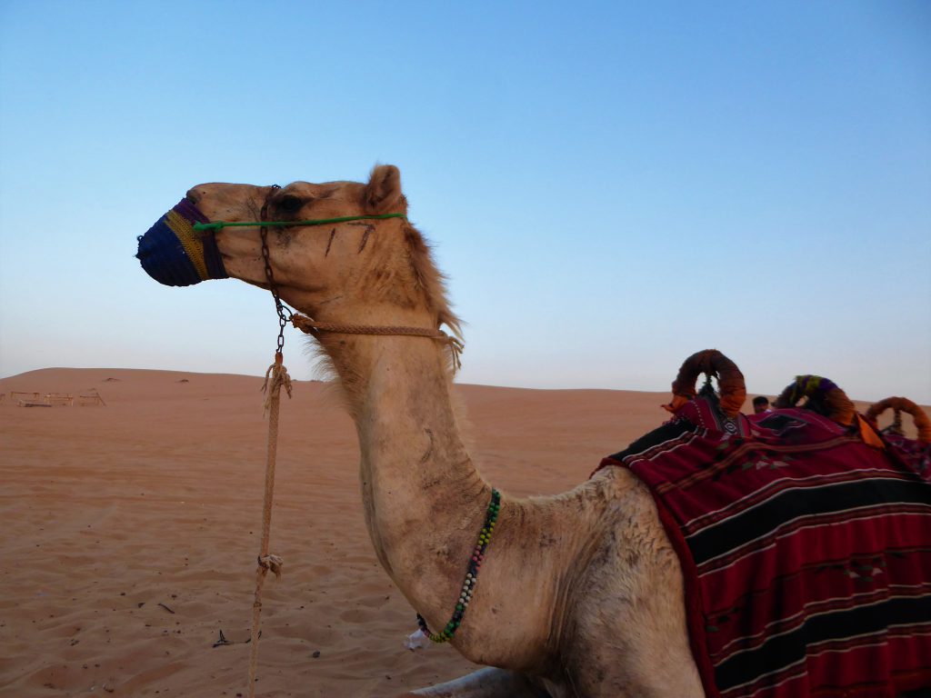 Crossing around the Sanddunes of the UAE