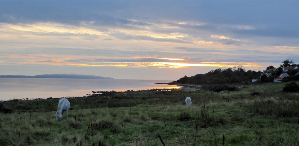 Zonsondergang langs de kust van Zweden