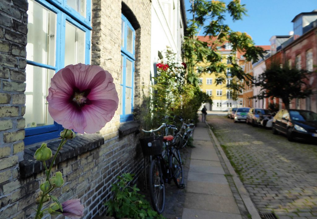 A Walk along the Sights of Copenhagen