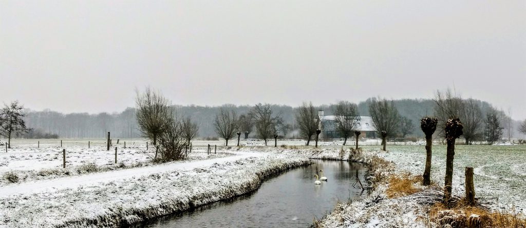 Things you NEED to Know About The Netherlands