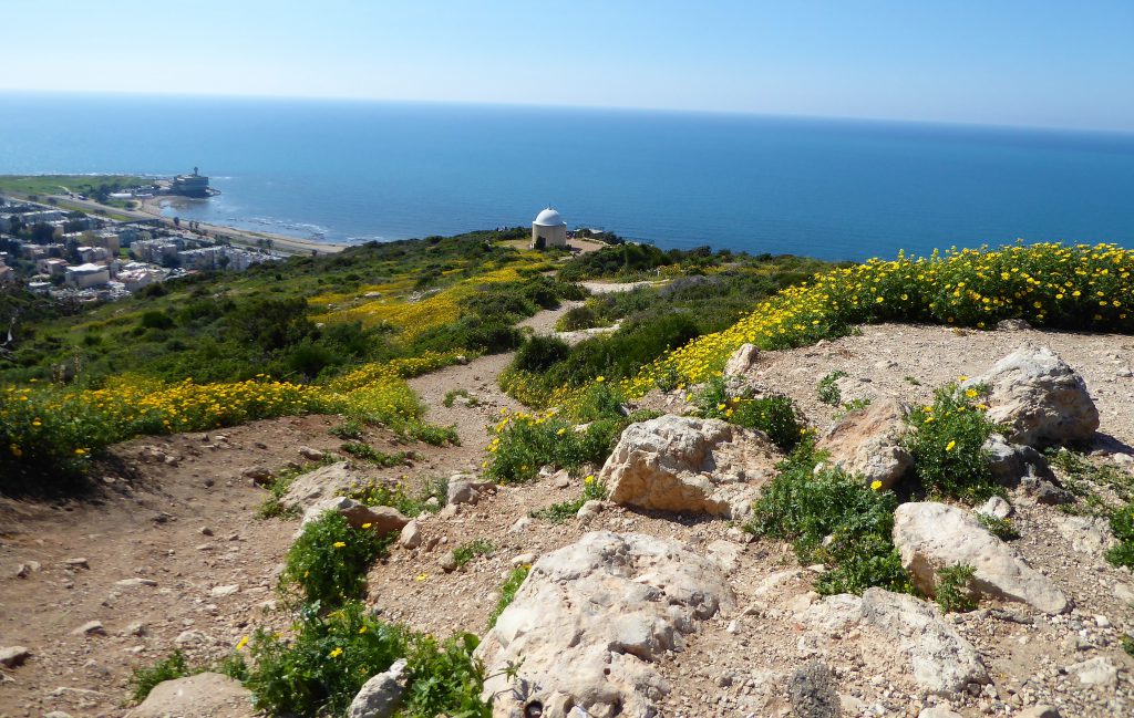 1000 Steps of Haifa - Israel