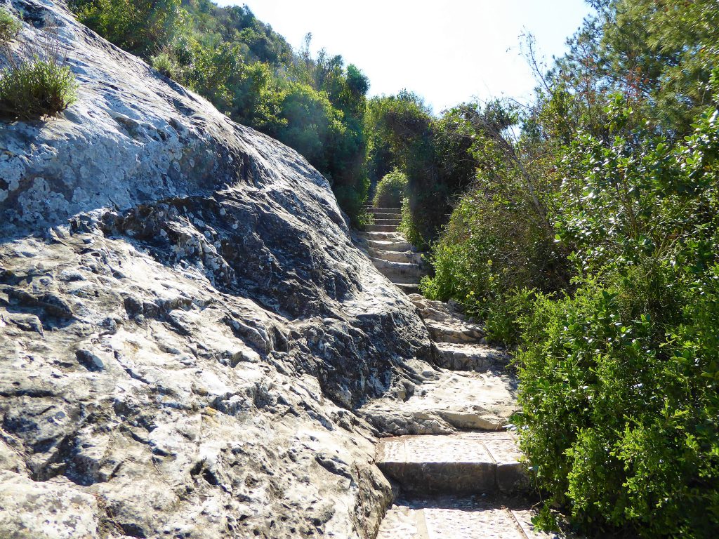 1000 Steps of Haifa - Israel