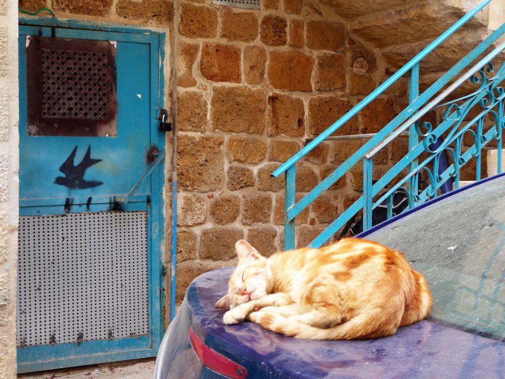 Slenteren in de oude stad Akko - Israël