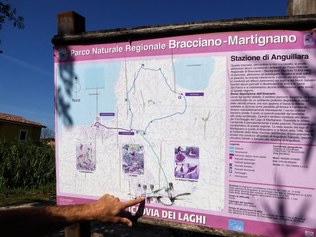 Cycling outside of Rome: Exploring Bracciano & Martignano Lake