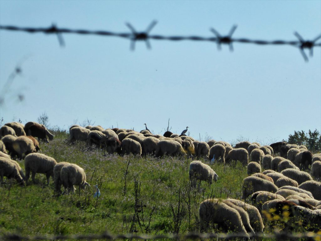 Cycling outside of Rome: Exploring Bracciano & Martignano Lake