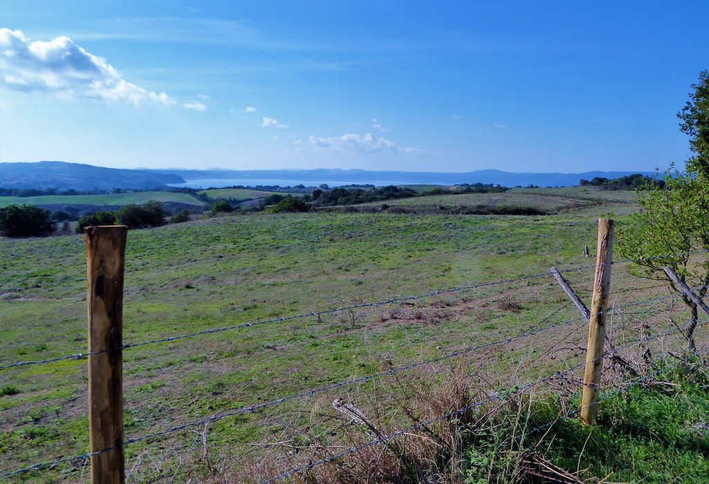 Cycling outside of Rome: Exploring Bracciano & Martignano Lake