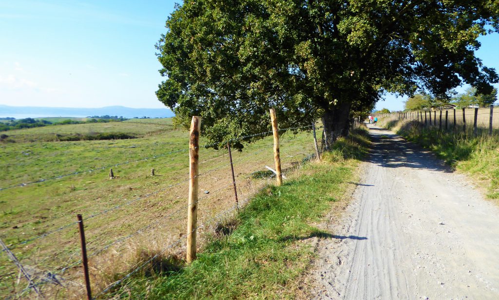 Cycling outside of Rome: Exploring Bracciano & Martignano Lake