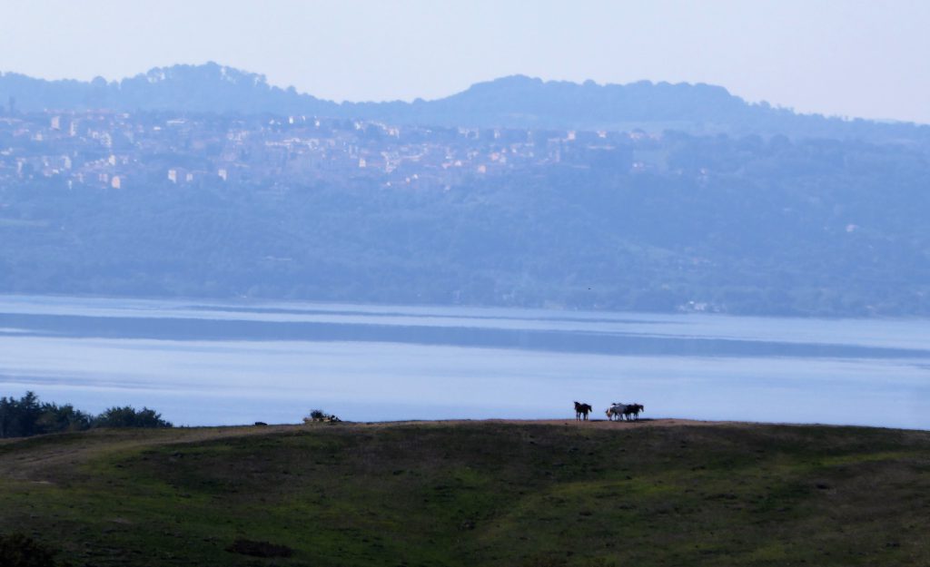 Fietsen buiten Rome: Bracciano en Martignano meer ontdekken