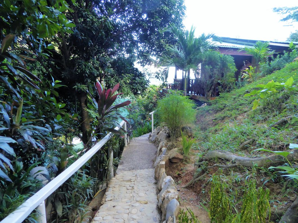 Viewdeck Cottages El Nido