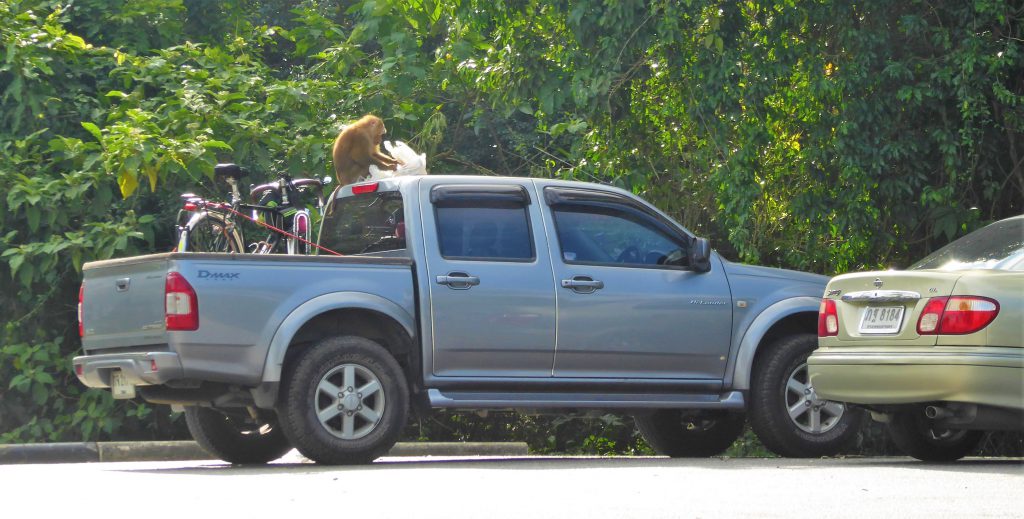 3 dagen in het Khao Yai NP - Thailand