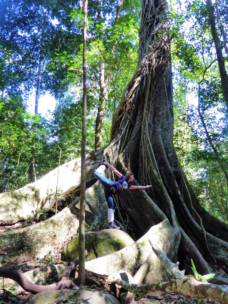 3 dagen in het Khao Yai NP - Thailand