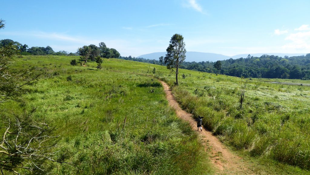 3 Days Exploring the Khao Yai NP - Thailand