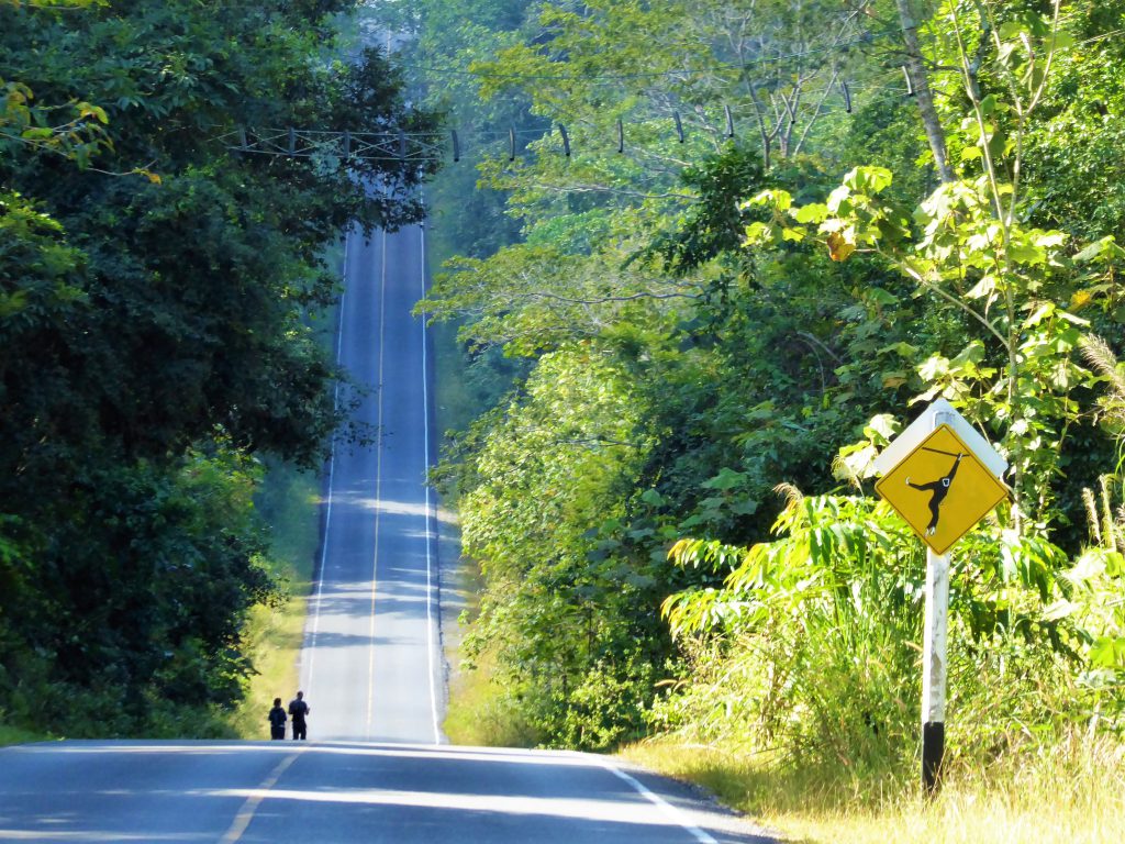 3 dagen in het Khao Yai NP - Thailand