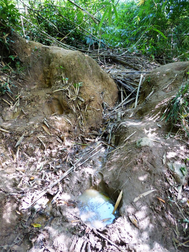 3 dagen in het Khao Yai NP - Thailand