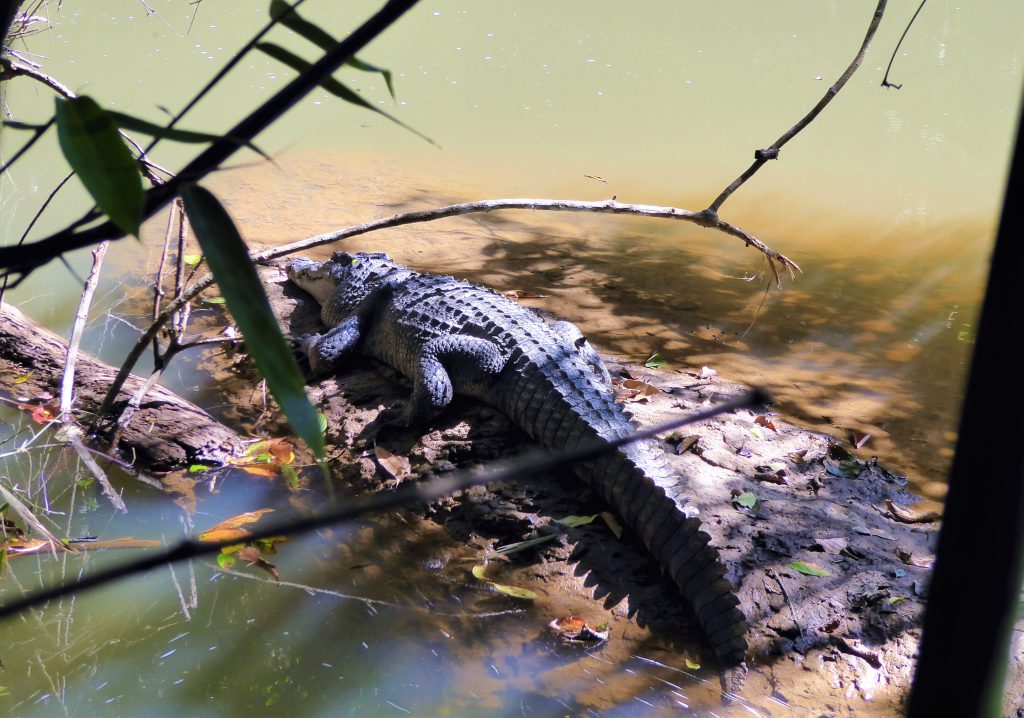 3 dagen in het Khao Yai NP - Thailand