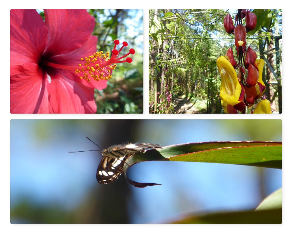 Zomerhoofdstad Baguio ontdekken