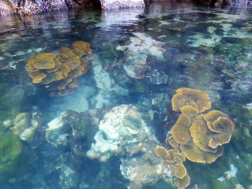 Eiland Hoppen bij El Nido, Palawan - De Filipijnen