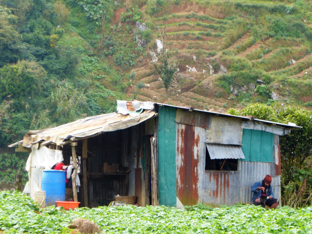 Zomerhoofdstad Baguio ontdekken