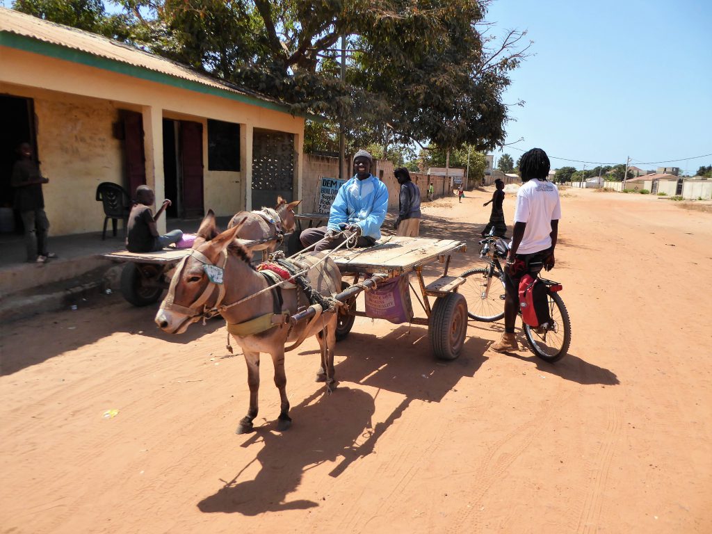 Cycling to the fish of Tanji