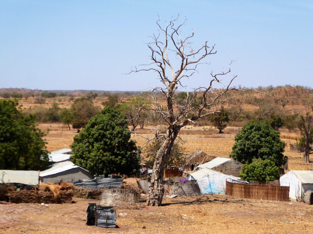 Wassu & Kuntaur - The Gambia