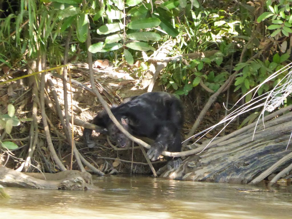 Wassu & Kuntaur, The Gambia