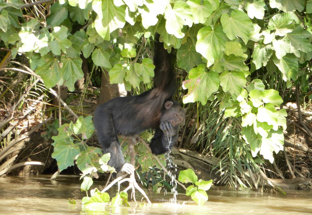 Wassu & Kuntaur, The Gambia