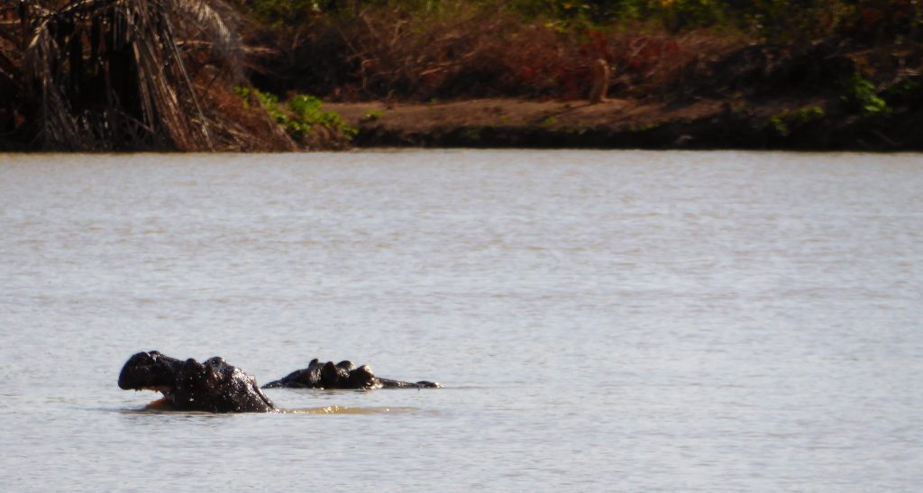 Wassu & Kuntaur, The Gambia