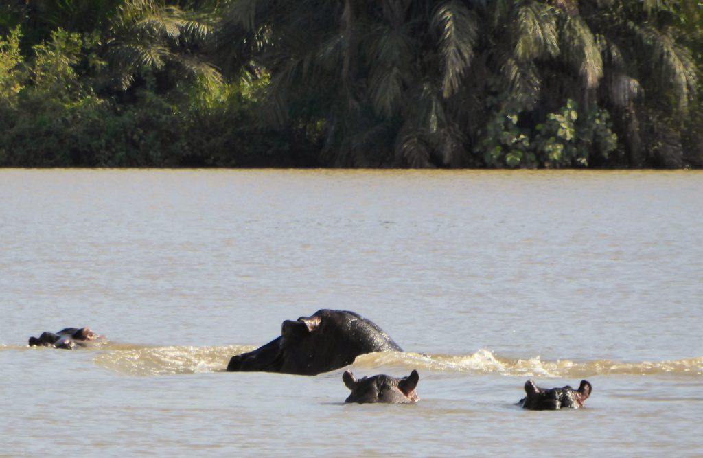 Wassu & Kuntaur, The Gambia