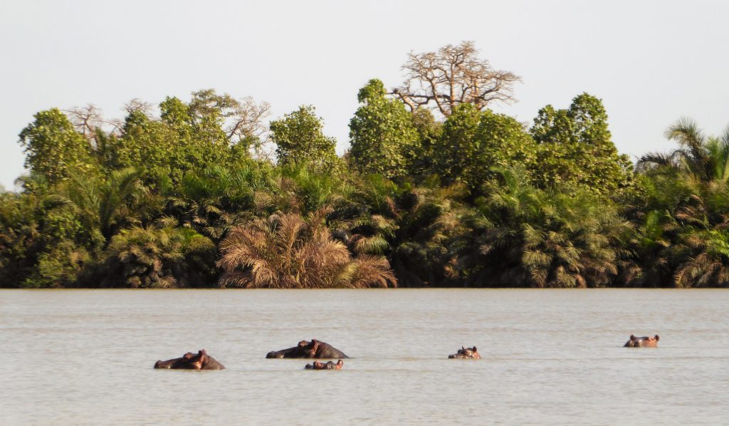 Wassu & Kuntaur, The Gambia