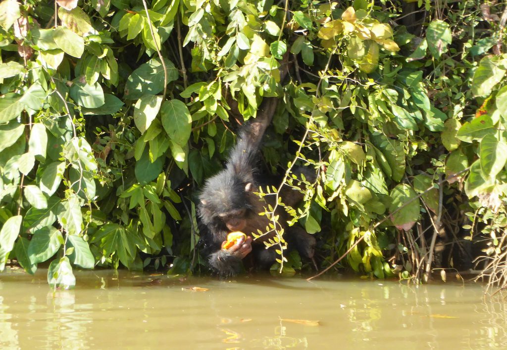 Wassu & Kuntaur, The Gambia