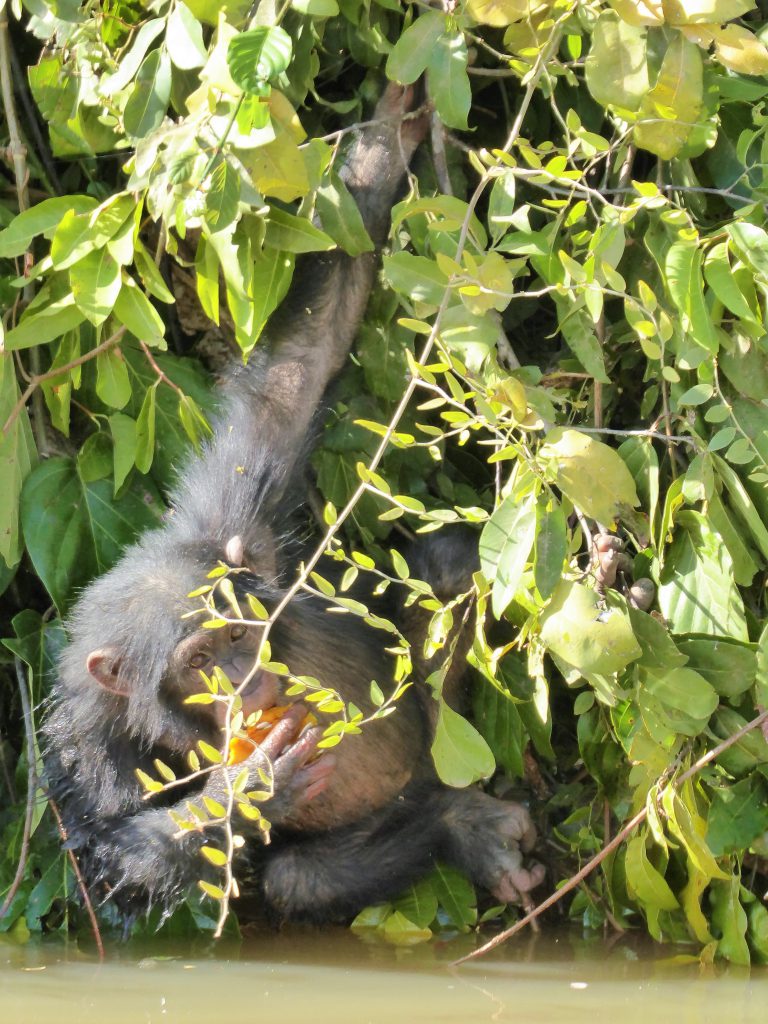 Wassu & Kuntaur, The Gambia