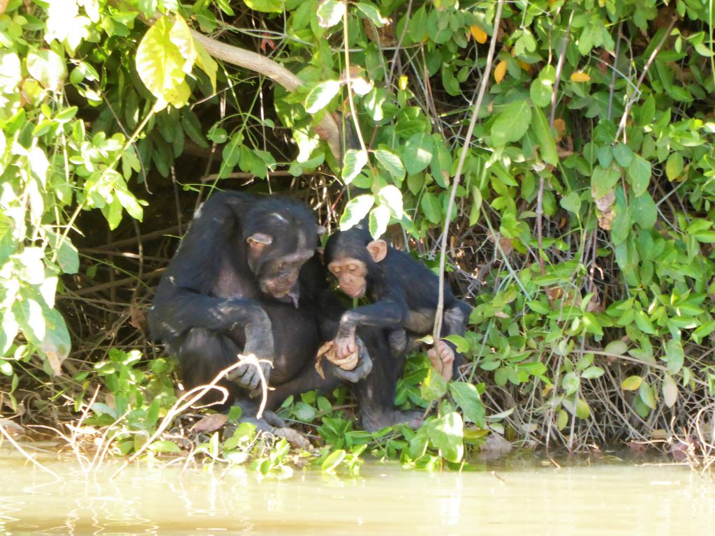 Wassu & Kuntaur, The Gambia