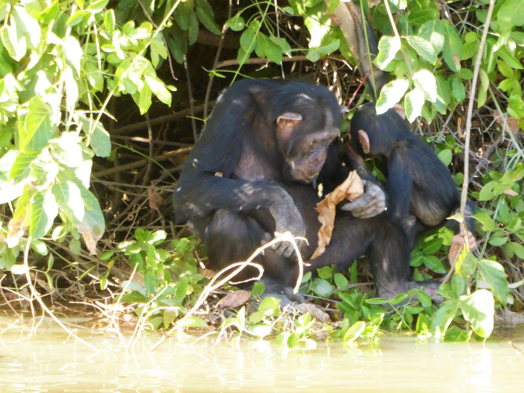 Wassu & Kuntaur, The Gambia