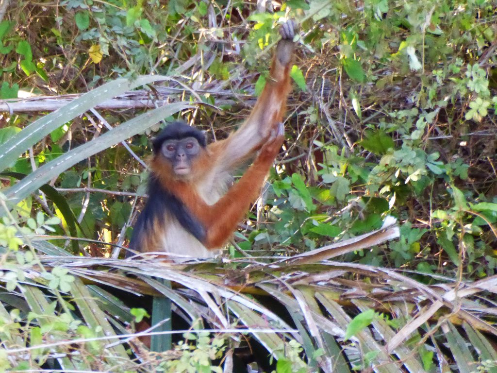 Wassu & Kuntaur, The Gambia